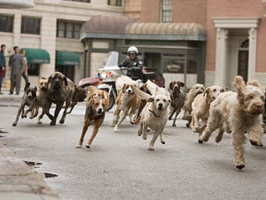 The low-beta dogs are at the front of the pack.